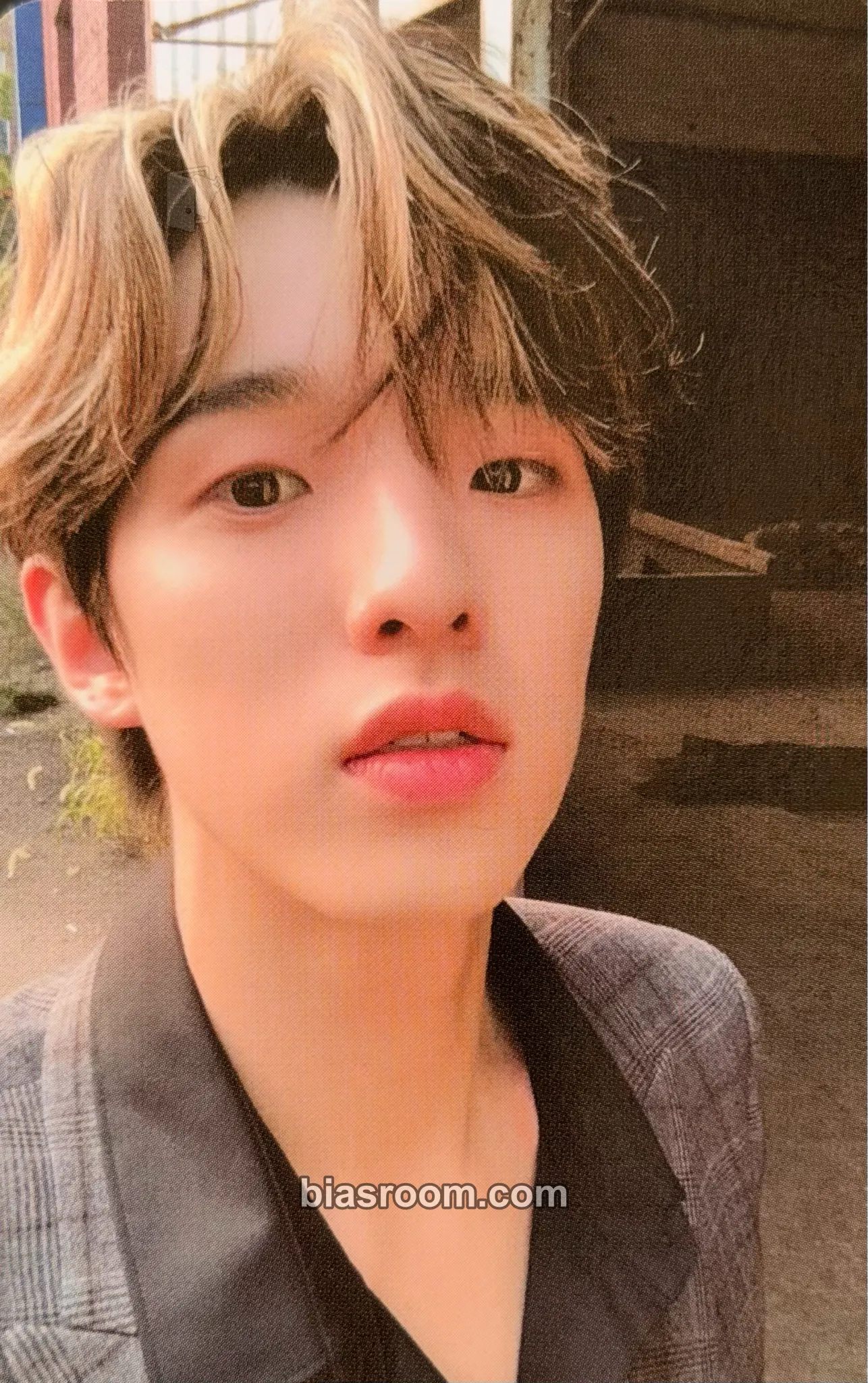 Jae The Book of Us : Entropy Photocard - DAY6 - DAY6 K-pop photocard