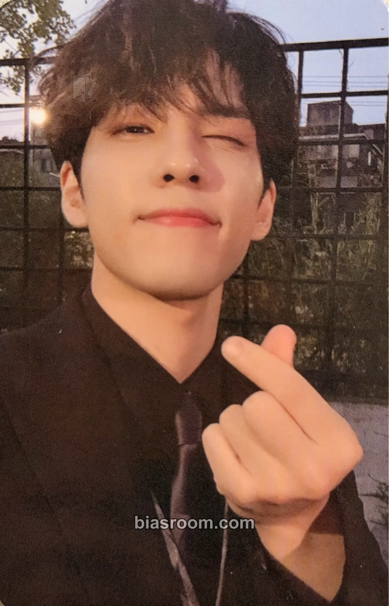 Wonpil The Book of Us : Entropy Photocard - DAY6 - DAY6 K-pop photocard