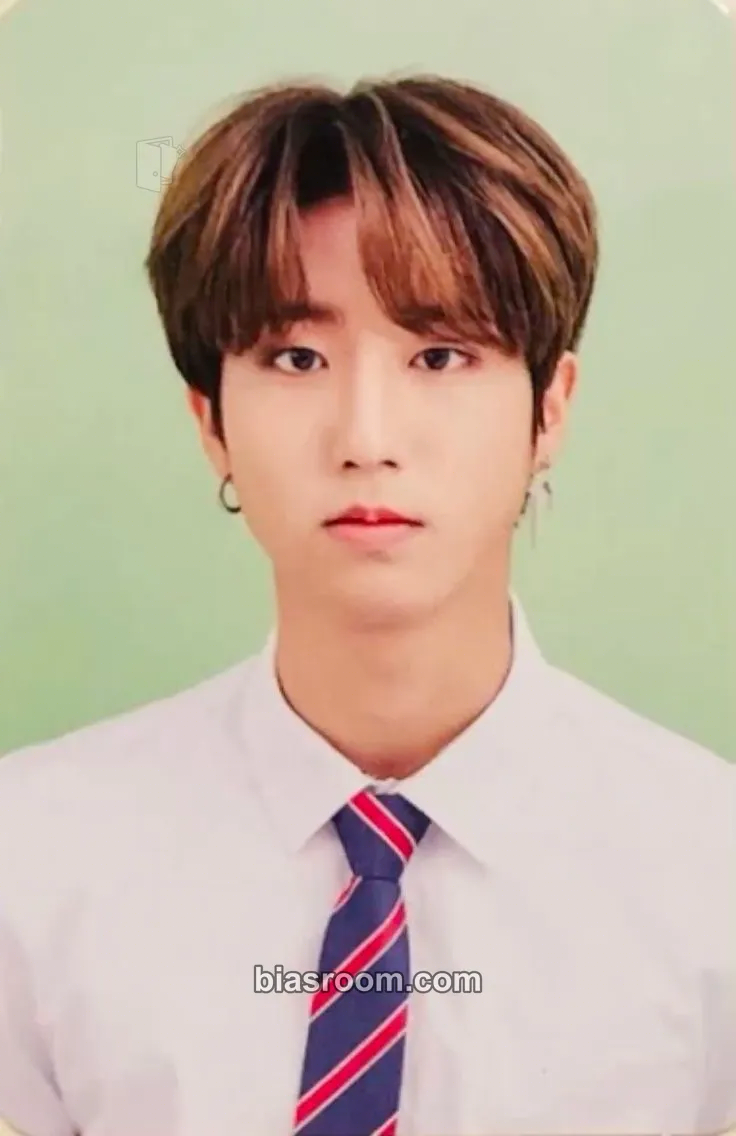 HAN Hi-STAY Tour in Korea Photocard - Stray Kids - Stray Kids K-pop photocard