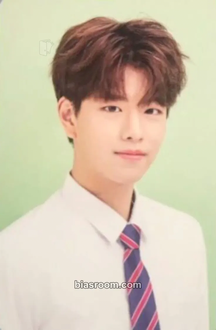Seungmin Hi-STAY Tour in Korea Photocard - Stray Kids - Stray Kids K-pop photocard