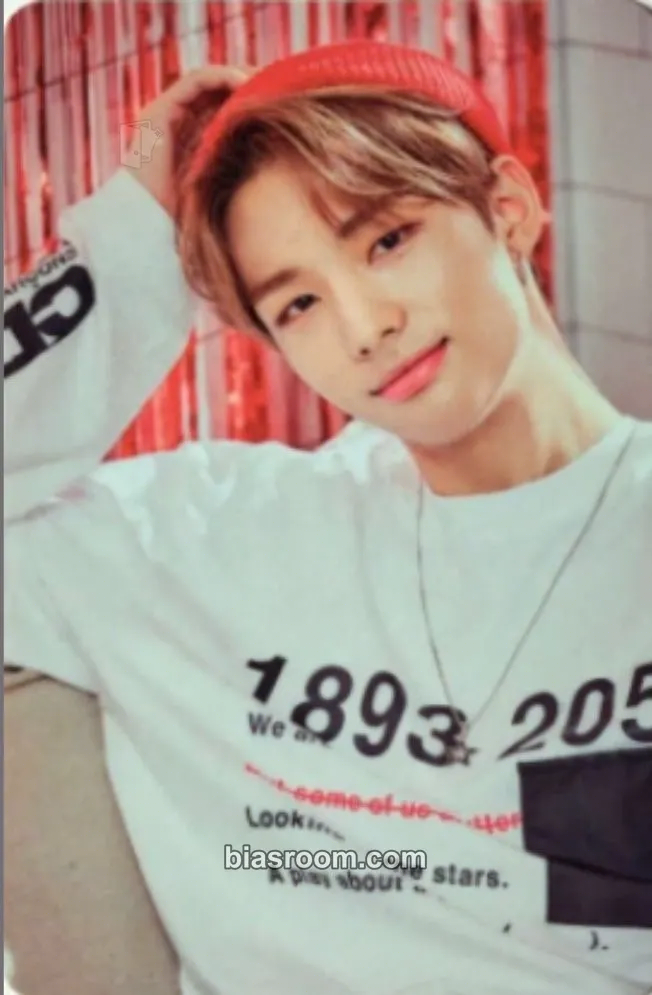 Hyunjin Hi-STAY Tour in Korea Photocard - Stray Kids - Stray Kids K-pop photocard