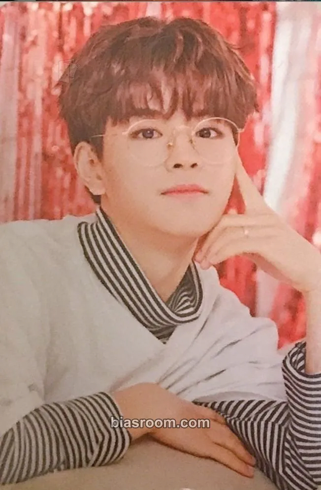 Seungmin Hi-STAY Tour in Korea Photocard - Stray Kids - Stray Kids K-pop photocard