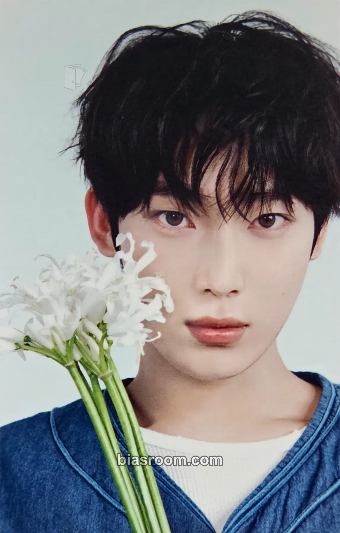 Sunoo 宵 -YOI- Photocard - ENHYPEN - ENHYPEN K-pop photocard