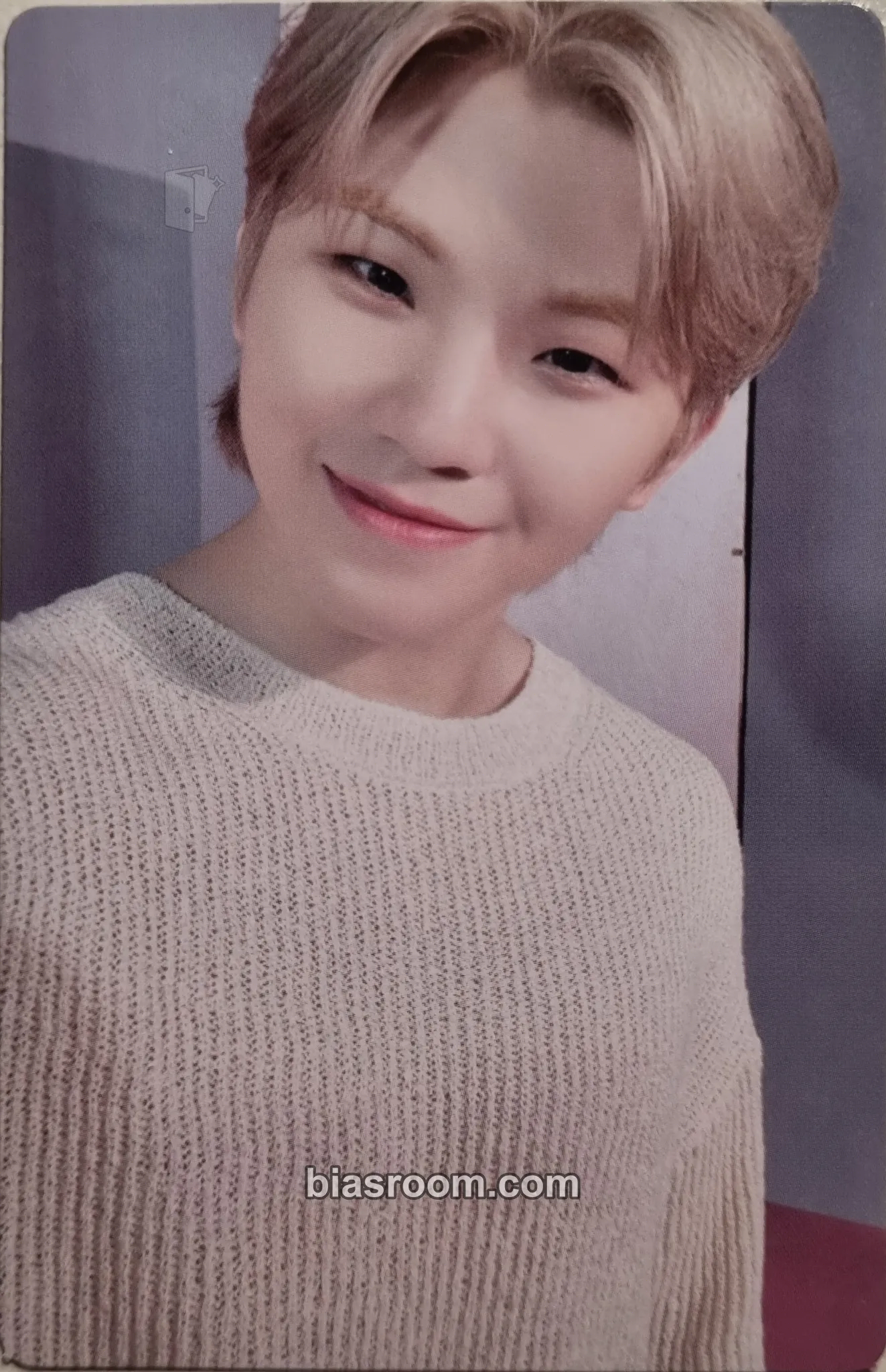 Woozi SEVENTEEN CAFE IN SEOUL Photocard - SEVENTEEN - SEVENTEEN K-pop photocard