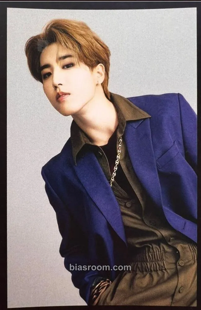 HAN SMART Magazine Photocard - Stray Kids - Stray Kids K-pop photocard