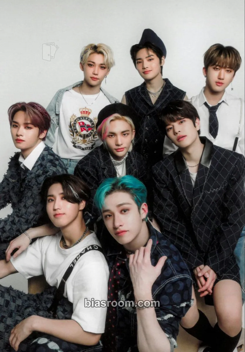 Nikkei Entertainment Magazine Photocard - Stray Kids - Stray Kids K-pop photocard