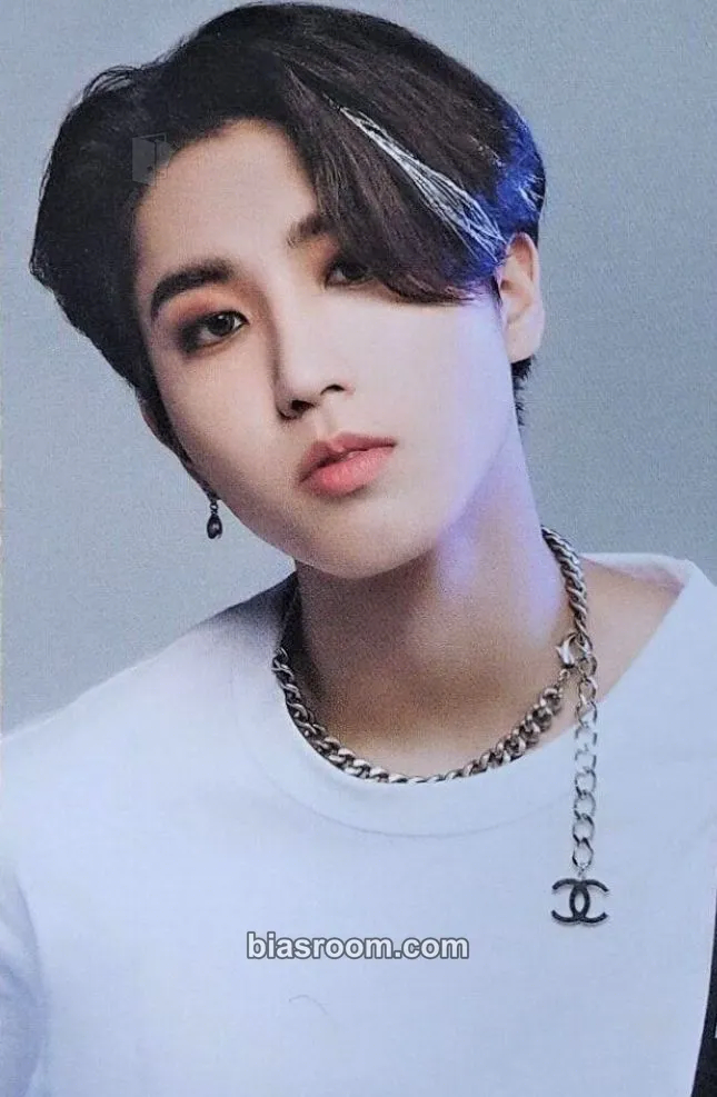 HAN Nikkei Entertainment Magazine Photocard - Stray Kids - Stray Kids K-pop photocard