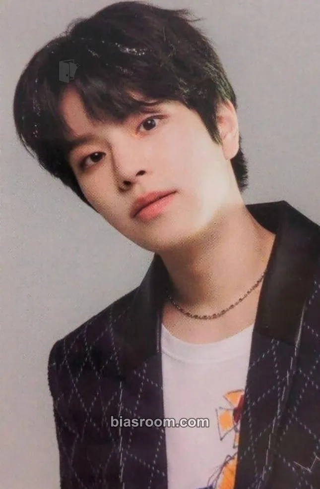 Seungmin Nikkei Entertainment Magazine Photocard - Stray Kids - Stray Kids K-pop photocard