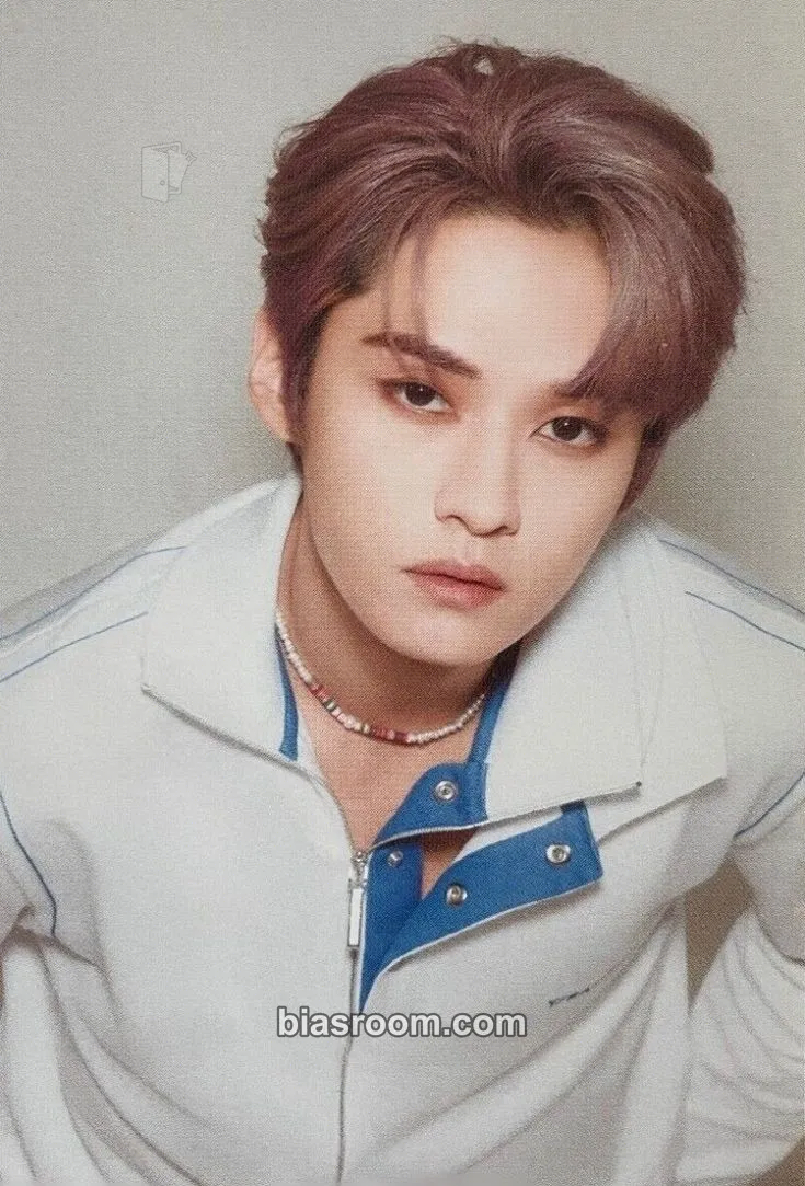 Lee Know Mini Magazine Photocard - Stray Kids - Stray Kids K-pop photocard