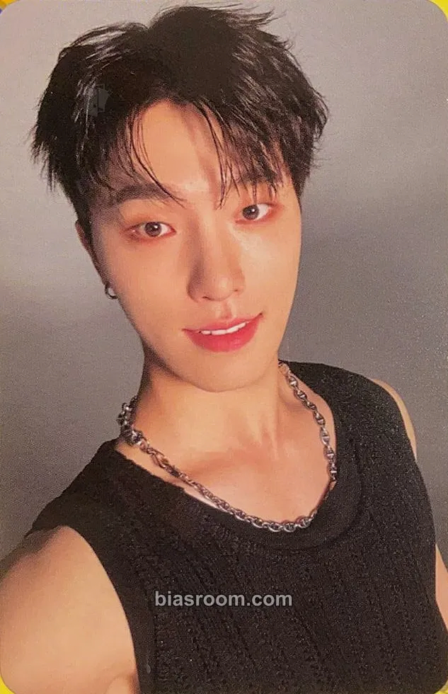 Dino Spill the Feels Photocard - SEVENTEEN - SEVENTEEN K-pop photocard