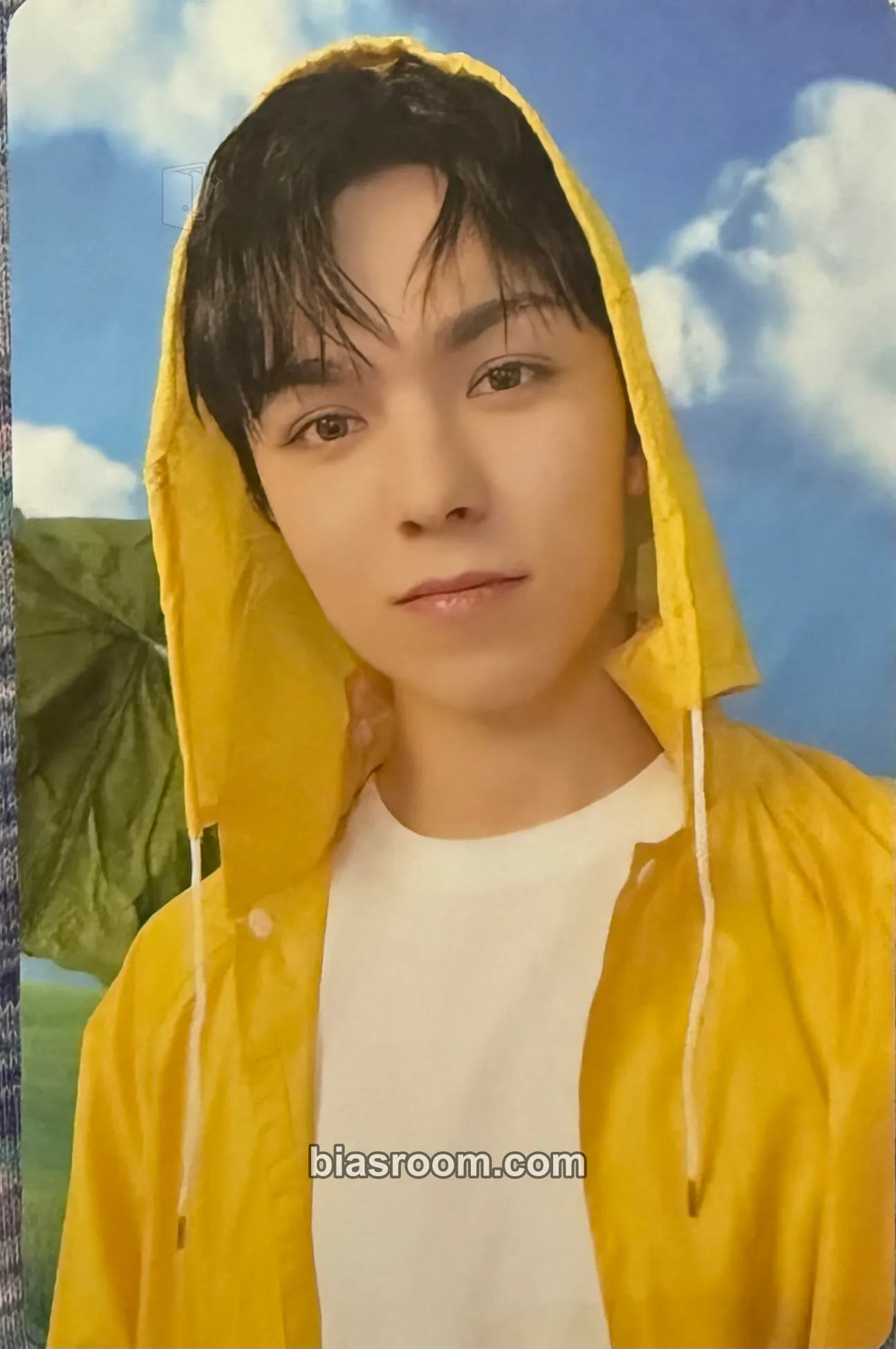 Vernon Seventeenth Heaven Photocard - SEVENTEEN - SEVENTEEN K-pop photocard