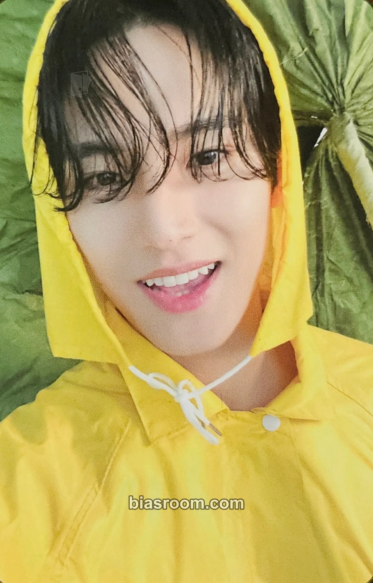 Mingyu Seventeenth Heaven Photocard - SEVENTEEN - SEVENTEEN K-pop photocard