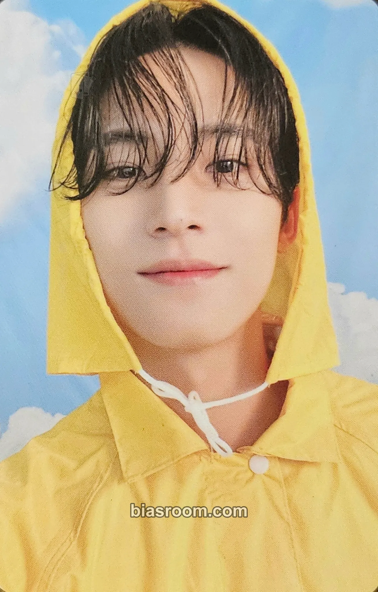 Mingyu Seventeenth Heaven Photocard - SEVENTEEN - SEVENTEEN K-pop photocard