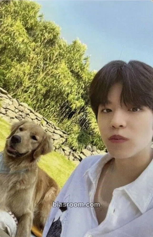 Seungmin ‘Stay In STAY’ in Jeju Third Photobook Photocard - Stray Kids - Stray Kids K-pop photocard