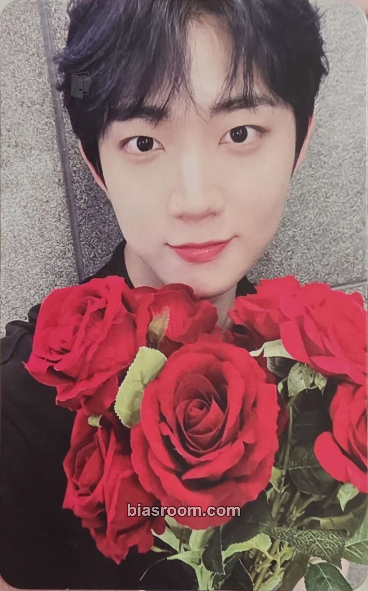Hyeongseop THE CALM BEFORE THE STORM Photocard - Tempest - Tempest K-pop photocard
