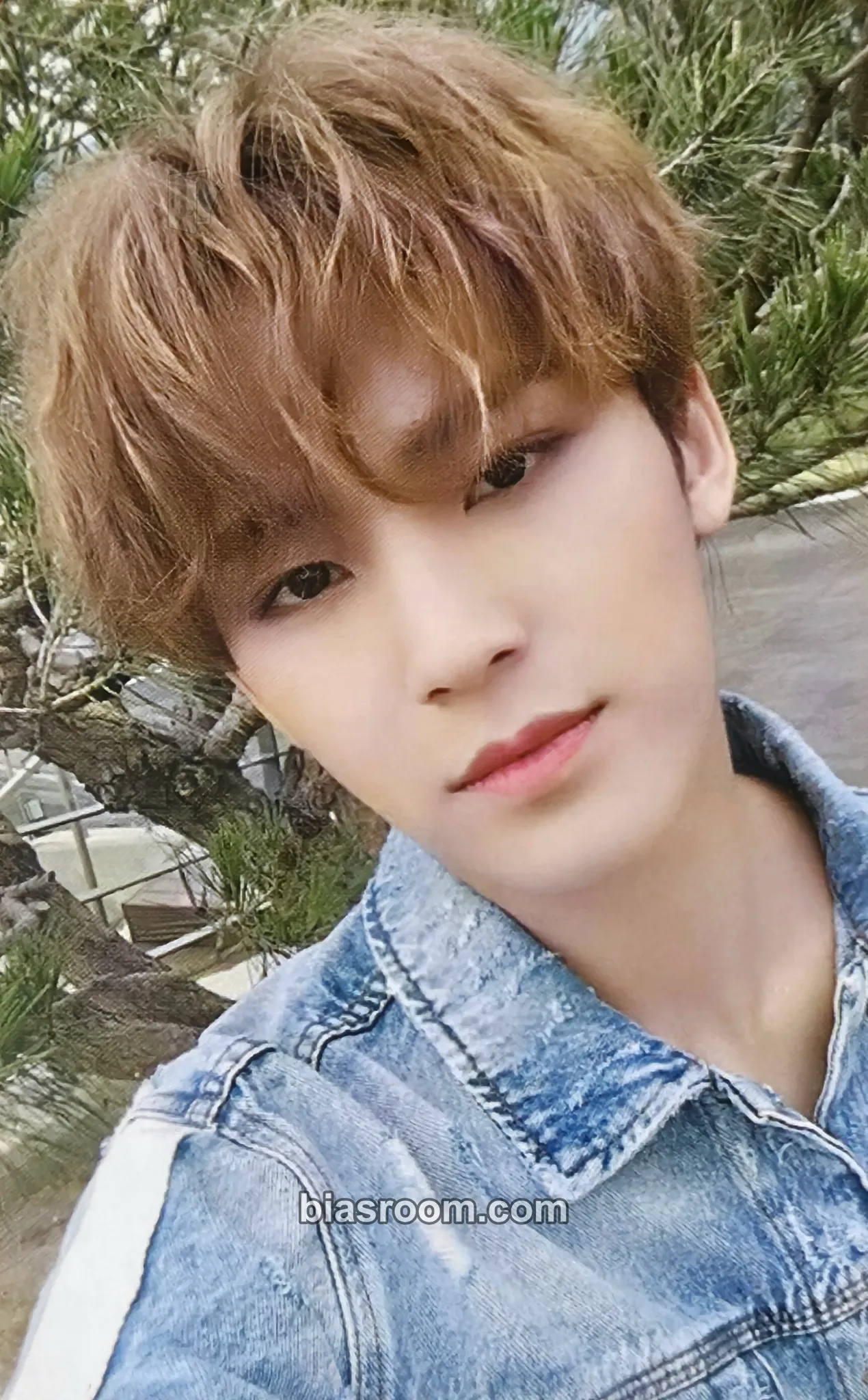 Mingyu You Make My Day Photocard - SEVENTEEN - SEVENTEEN K-pop photocard