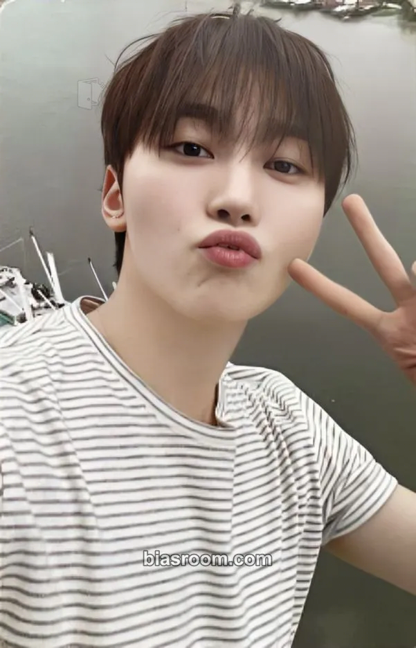 Seungkwan Spill the Feels Photocard - SEVENTEEN - SEVENTEEN K-pop photocard