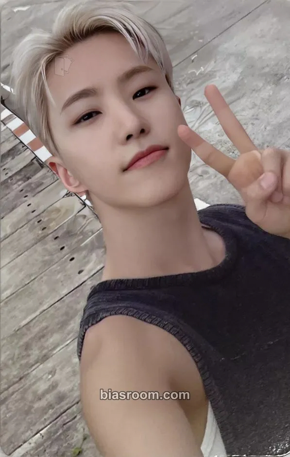 Hoshi Spill the Feels Photocard - SEVENTEEN - SEVENTEEN K-pop photocard