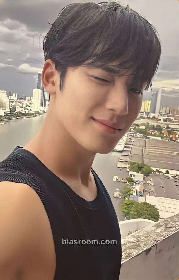 Mingyu Spill the Feels Photocard - SEVENTEEN - SEVENTEEN K-pop photocard