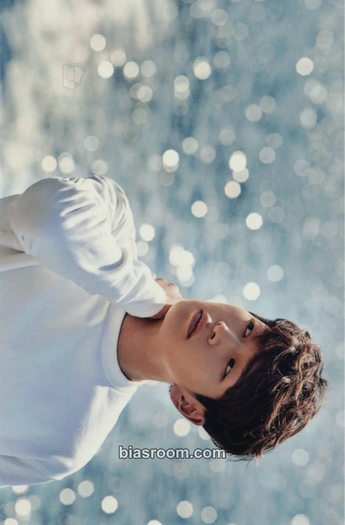 Onew SHINee 2016 Season's Greetings Photocard - SHINee - SHINee K-pop photocard