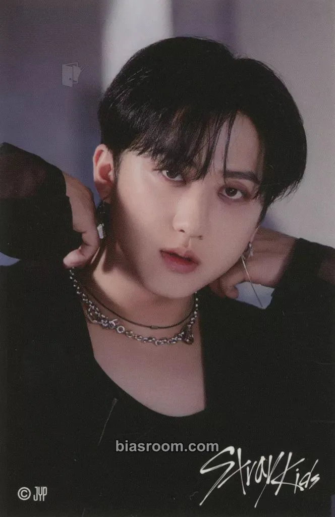 Changbin 5-Star Dome Tour 2023 Photocard - Stray Kids - Stray Kids K-pop photocard