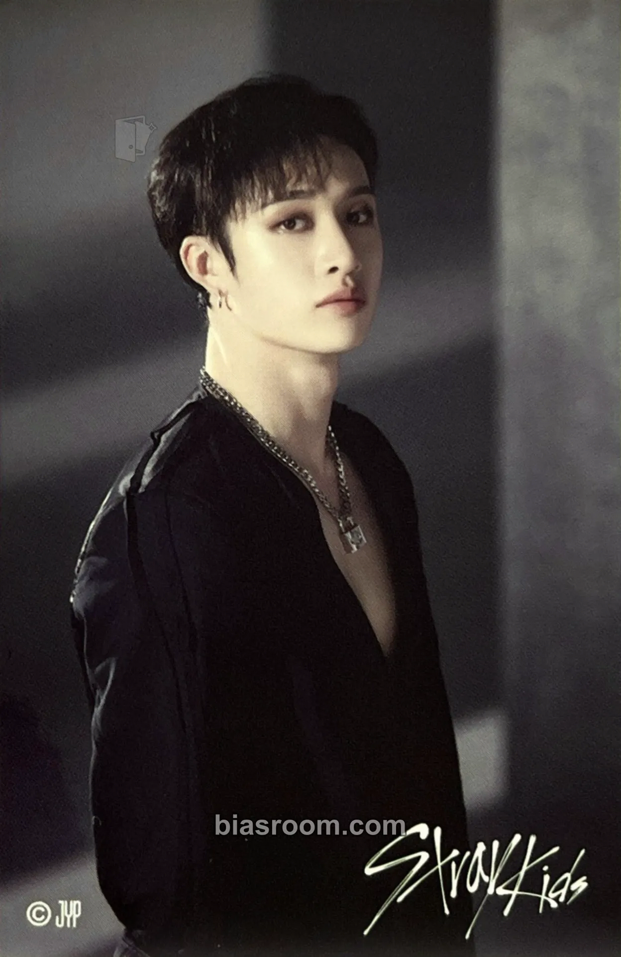 Bang Chan 5-Star Dome Tour 2023 Photocard - Stray Kids - Stray Kids K-pop photocard
