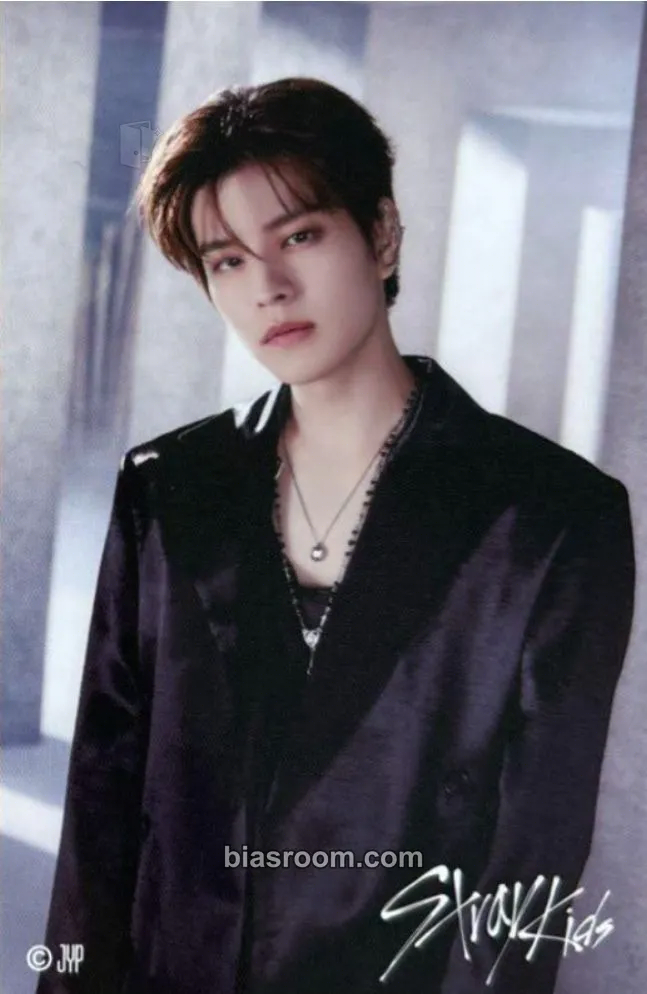 Seungmin 5-Star Dome Tour 2023 Photocard - Stray Kids - Stray Kids K-pop photocard