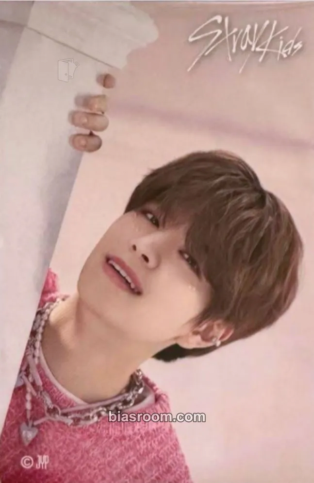 Seungmin 5-Star Dome Tour 2023 Photocard - Stray Kids - Stray Kids K-pop photocard