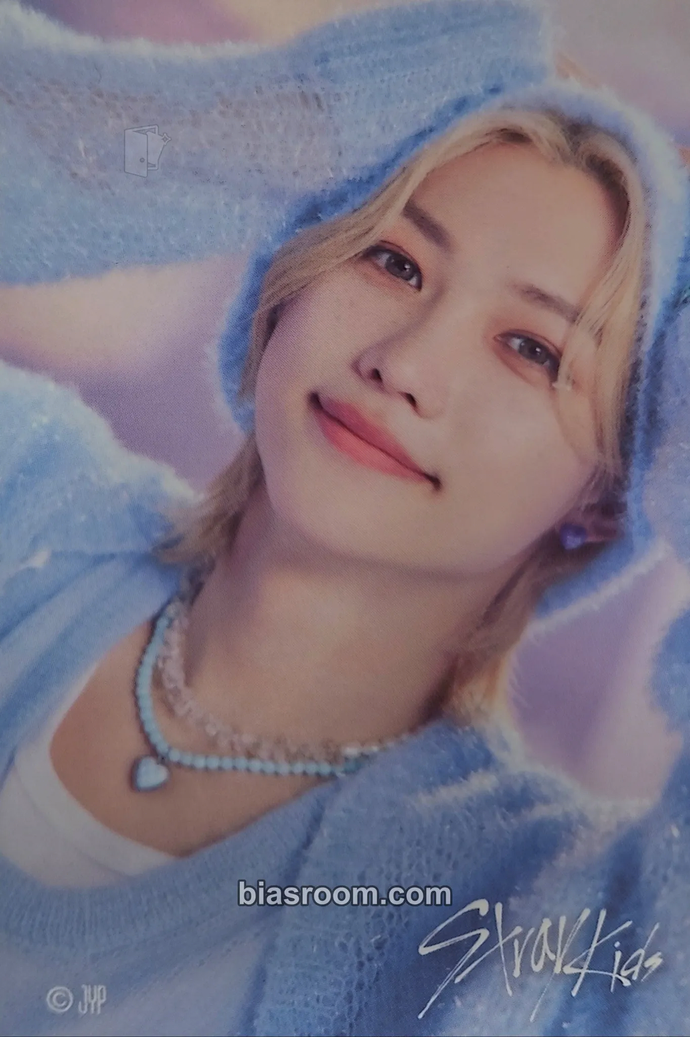 Felix 5-Star Dome Tour 2023 Photocard - Stray Kids - Stray Kids K-pop photocard