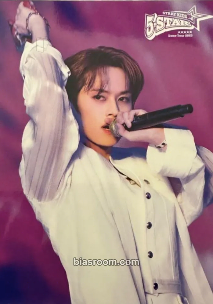 Lee Know 5-Star Dome Tour 2023 Photocard - Stray Kids - Stray Kids K-pop photocard