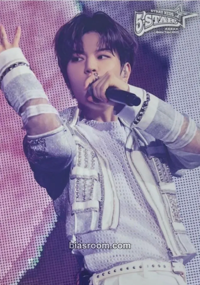 Seungmin 5-Star Dome Tour 2023 Photocard - Stray Kids - Stray Kids K-pop photocard