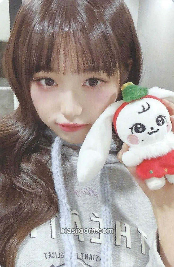 Wonyoung MINIVE Christmas Edition Photocard - IVE - IVE K-pop photocard