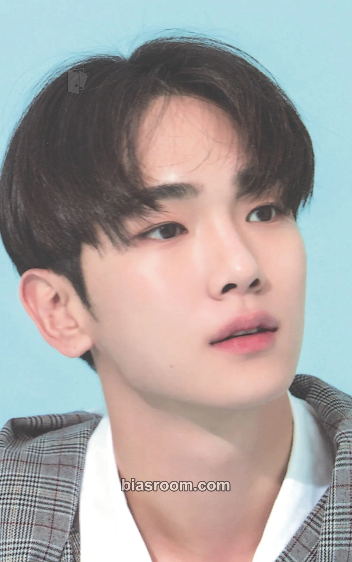 Key SHINee 2018 Season's Greetings Photocard - SHINee - SHINee K-pop photocard