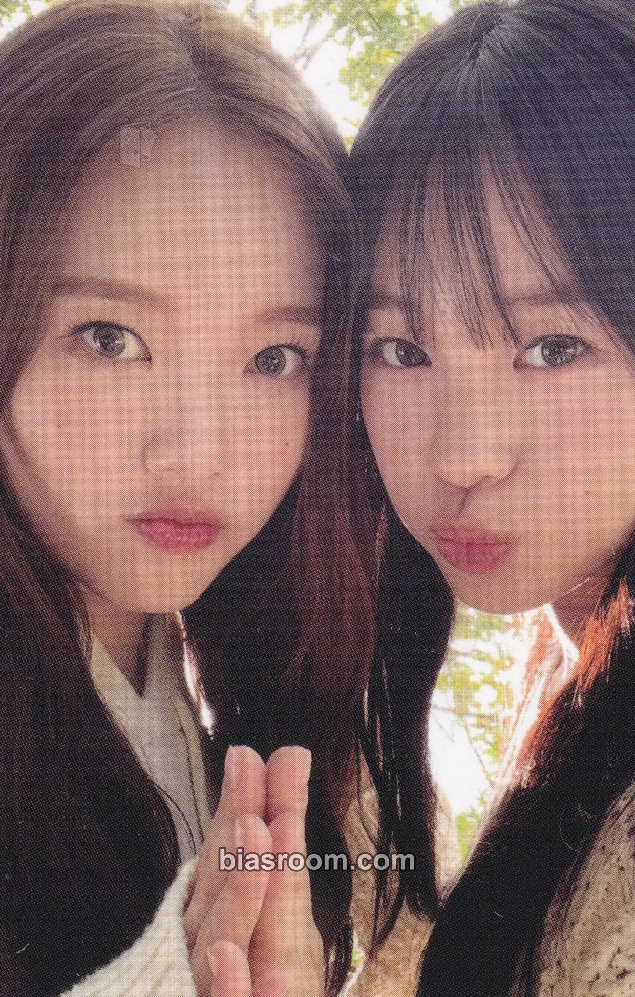 ColoRise Photocard - Weeekly - Weeekly K-pop photocard