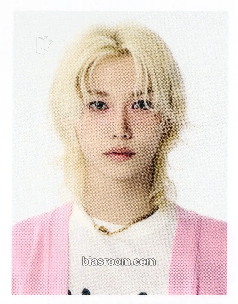 Felix dominATE: celebrATE Pop-Up Store Photocard - Stray Kids - Stray Kids K-pop photocard
