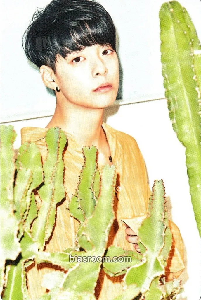 Amber f(x) 2017 Season's Greetings Photocard - f(x) - f(x) K-pop photocard