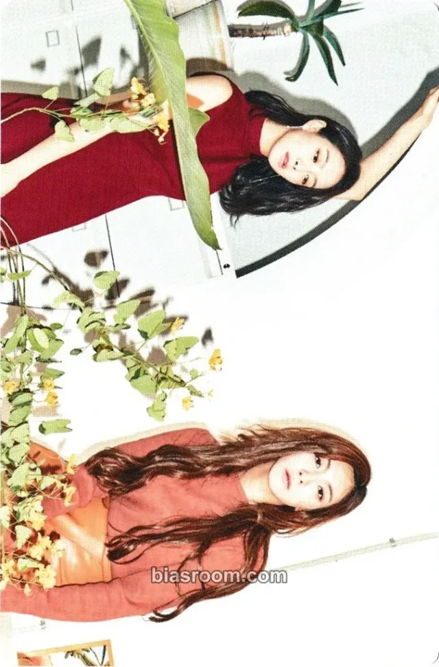 f(x) - Victoria & Luna - f(x) 2017 Season's Greetings Other season's greetings mini calendar