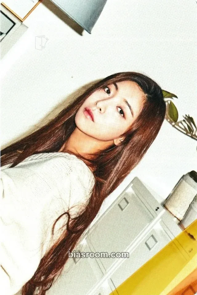 f(x) - Luna - f(x) 2017 Season's Greetings Other season's greetings mini calendar