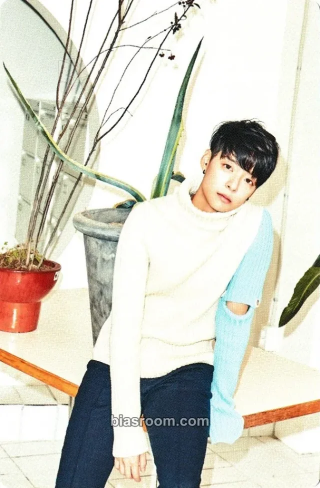f(x) - Amber - f(x) 2017 Season's Greetings Other season's greetings mini calendar