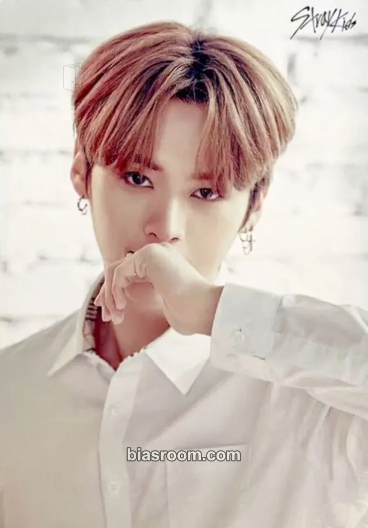 Lee Know UNVEIL TOUR ‘I am…’ Photocard - Stray Kids - Stray Kids K-pop photocard