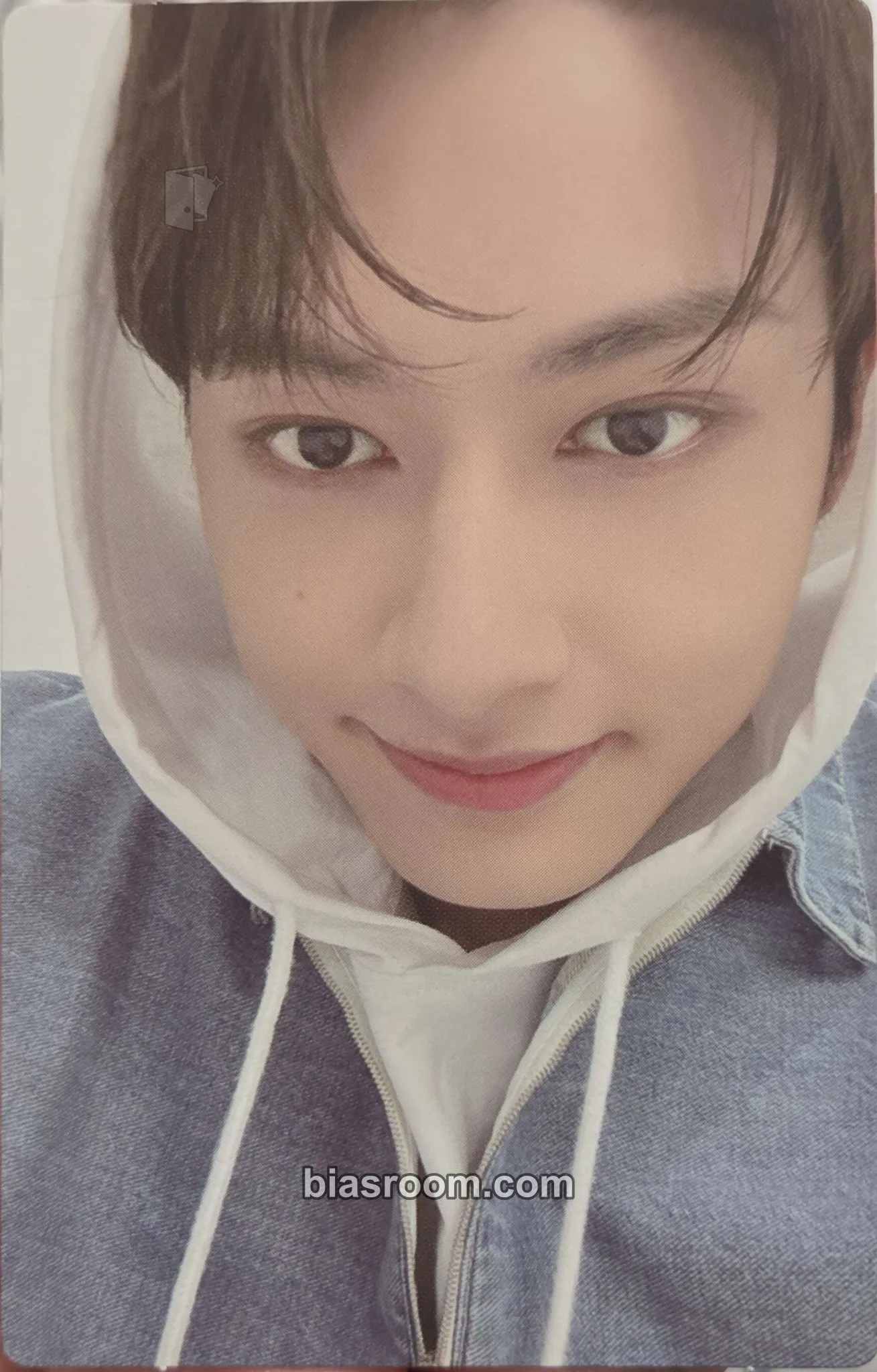 Jun Birthday Boxes/Merch Photocard - SEVENTEEN - SEVENTEEN K-pop photocard