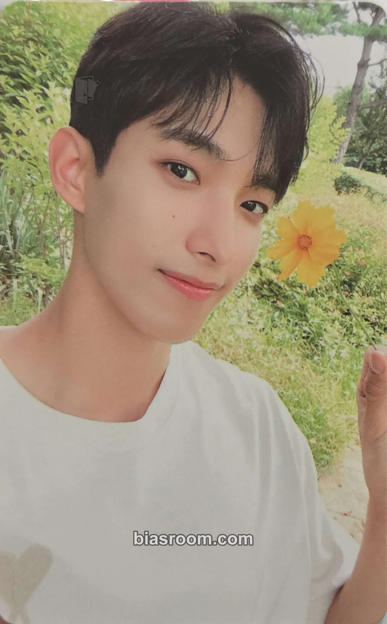 DK Social Club : Carat Photobook Photocard - SEVENTEEN - SEVENTEEN K-pop photocard
