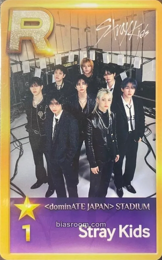 DominATE World Tour Photocard - Stray Kids - Stray Kids K-pop photocard