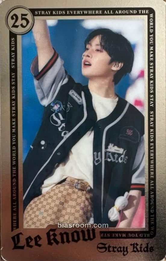 Lee Know DominATE World Tour Photocard - Stray Kids - Stray Kids K-pop photocard