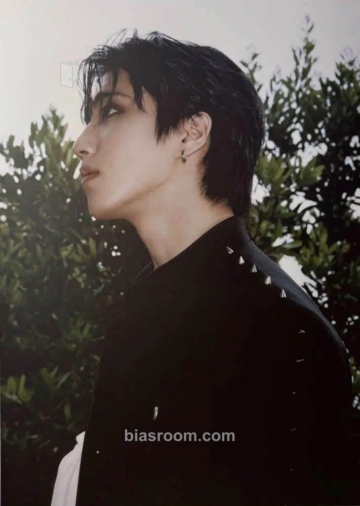 HAN Do It Photocard - Stray Kids - Stray Kids K-pop photocard