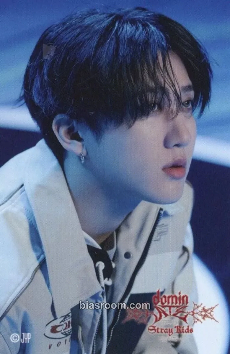 Changbin DominATE World Tour Photocard - Stray Kids - Stray Kids K-pop photocard