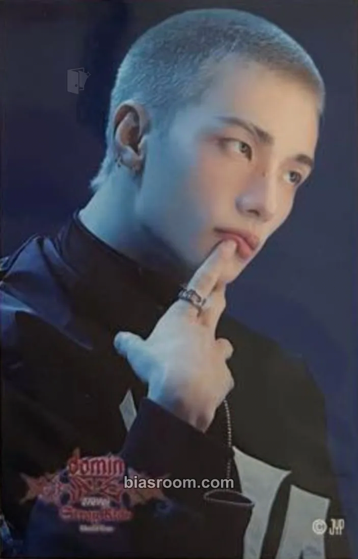 Hyunjin DominATE World Tour Photocard - Stray Kids - Stray Kids K-pop photocard