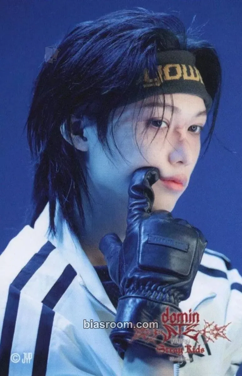Felix DominATE World Tour Photocard - Stray Kids - Stray Kids K-pop photocard