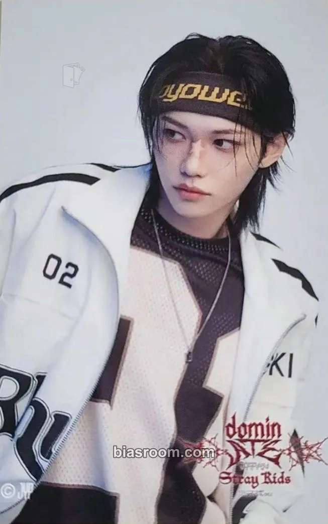 Felix DominATE World Tour Photocard - Stray Kids - Stray Kids K-pop photocard