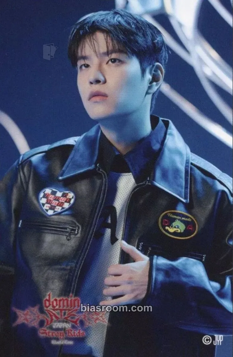 Seungmin DominATE World Tour Photocard - Stray Kids - Stray Kids K-pop photocard